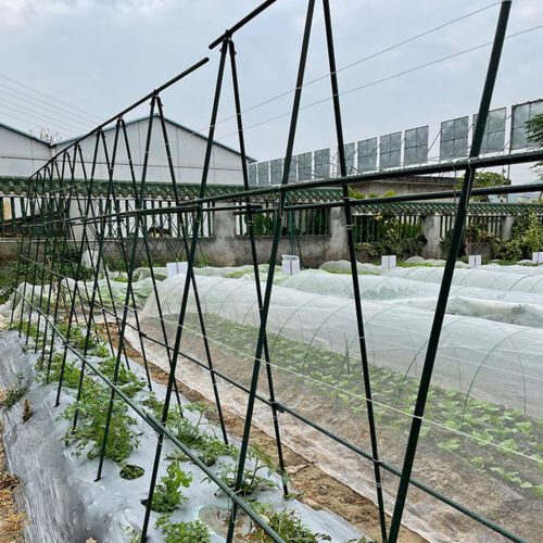 120X90cm Plant Frame Tube Trellis Vegetable Flower Herbs Outdoor Vine Support Adjustable Garden Rack - Image 3