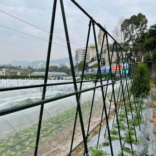 150X90cm Plant Frame Tube Trellis Vegetable Flower Herbs Outdoor Vine Support Adjustable Garden Rack - Image 2