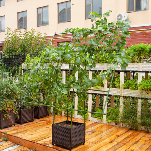 160cm Inclined Plant Frame Tube Pergola Trellis Vegetable Flower Herbs Outdoor Vine Support Garden Rack - Image 2