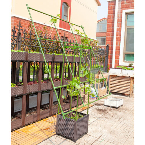 160cm Inclined Plant Frame Tube Pergola Trellis Vegetable Flower Herbs Outdoor Vine Support Garden Rack - Image 3