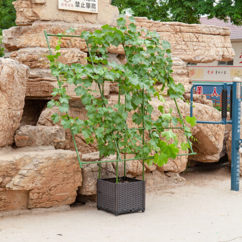 160cm Inclined Plant Frame Tube Pergola Trellis Vegetable Flower Herbs Outdoor Vine Support Garden Rack - Image 4