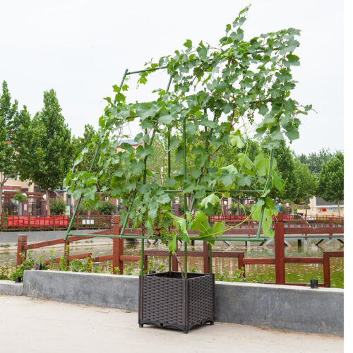 160cm Inclined Plant Frame Tube Pergola Trellis Vegetable Flower Herbs Outdoor Vine Support Garden Rack - Image 5