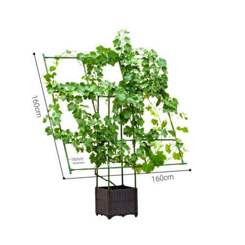 160cm Inclined Plant Frame Tube Pergola Trellis Vegetable Flower Herbs Outdoor Vine Support Garden Rack - Image 6
