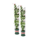 2x 163cm 4-Bar Plant Frame Stand Trellis Vegetable Flower Herbs Outdoor Vine Support Garden Rack with Rings