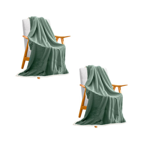 2x Light Green Throw Blanket Warm Cozy Double Sided Thick Flannel Fleece Bed Sofa Comforter