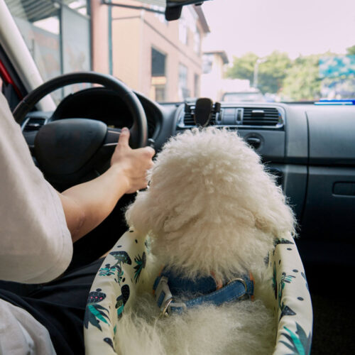 Car Central Control Nest Pet Safety Travel Bed Dog Kennel Portable Washable Pet Bag White - Image 8