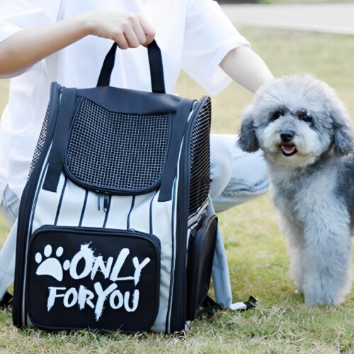 2x Black Pet Carrier Backpack Breathable Mesh Portable Safety Travels Outdoor Bag