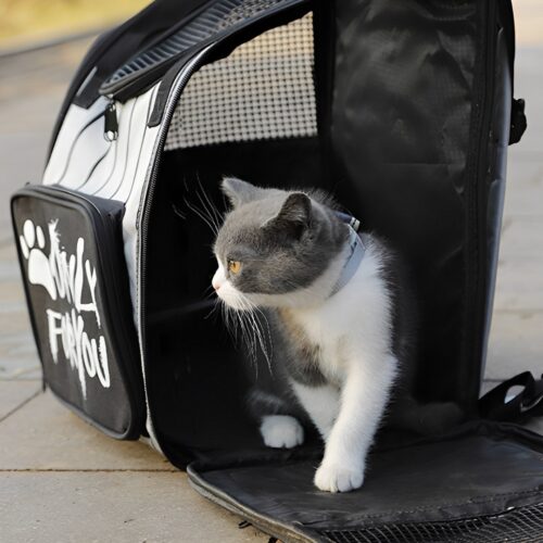 2x Black Pet Carrier Backpack Breathable Mesh Portable Safety Travels Outdoor Bag - Image 3