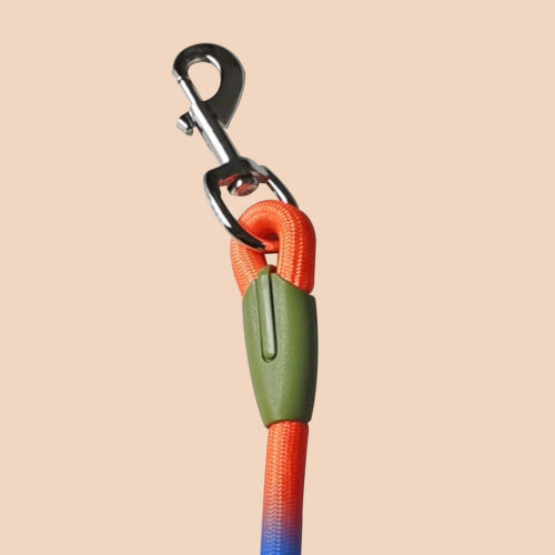 220cm Hands-Free Rope Pet Cat Dog Puppy Double Ended Leash Rainbow - Image 5