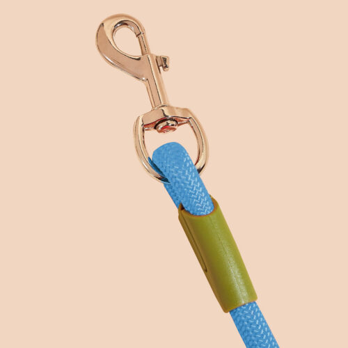2x 220cm Hands-Free Rope Pet Cat Dog Puppy Double Ended Leash Blue - Image 5