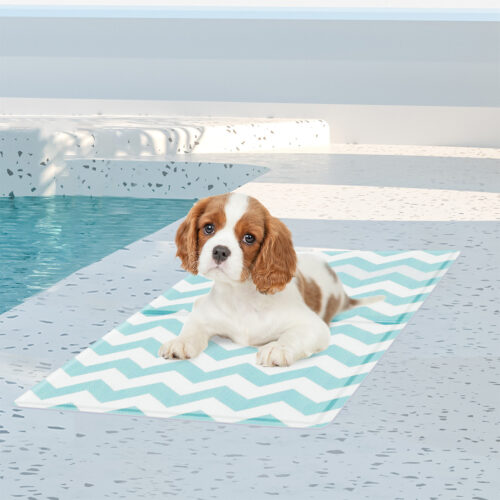 Pawz Pet Cooling Mat Dog Cat Gel Non-Toxic Bed Cool Summer Pad Rug Blue 40x50cm - Image 7