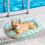 Pawz Pet Self Cooling Mat Dog Water Bed Ice Mattress Pad Gel Green Small 47x61cm