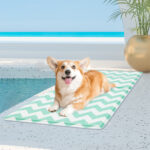 Pawz Pet Self Cooling Mat Dog Water Bed Ice Mattress Pad Non-Toxic Green M 50x65cm