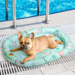Pawz Pet Cooling Mat Dog Cat Gel Non-Toxic Bed Pillow Self-Cool Summer Ice Pad M 66cm x 84cm