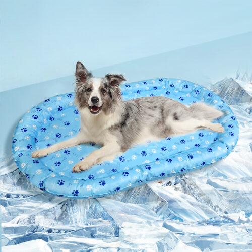 Pawz Pet Self Cooling Mat Dog Water Bed Ice Mattress Pad Gel Blue Large 73x103cm