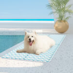 Pawz Pet Self Cooling Mat Dog Water Bed Ice Mattress Pad Gel Blue XL 80x120cm