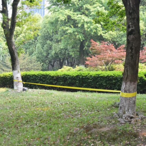 Slackline 15 m x 50 mm 150 kg Yellow - Image 7