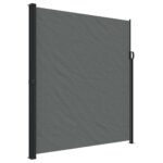 Retractable Side Awning Anthracite 220x300cm